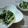 ☆Kan Kan☆'s cooksnap of when they made 簡単小鉢☆ほうれん草とえのきのポン酢和え.