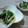☆Kan Kan☆'s cooksnap of when they made 簡単小鉢☆ほうれん草とえのきのポン酢和え.