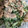 ma___111's cooksnap of when they made ゴーヤとツナのマヨ和え.
