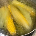 ボブ♪'s cooksnap of when they made 安いとうもろこしを甘くするゆで方！？.