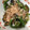 yuxtu's cooksnap of when they made いと美味し！ひもとうがらしの醤油炒め.