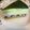 クックE896WU☆'s cooksnap of when they made 抹茶と小豆のムースケーキ.