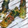 クックXFL002☆'s cooksnap of when they made ちくわの磯辺揚げ.