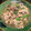 クック52Q75L☆'s cooksnap of when they made 早い簡単絶品鶏とピーマンしめじ炒め.
