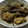 ヨシヨッシー's cooksnap of when they made ゴマだれ炒め.