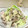 はらぺこしろうさぎ's cooksnap of when they made 牛肉ともやしとキャベツの塩炒め.