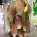 紅緒ちゃん's cooksnap of when they made ♡みょうがの保存法♡.