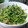 まぁ907's cooksnap of when they made 豆苗とツナときゅうりのサラダ.