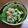 クックABDFZT☆'s cooksnap of when they made 夏にさっぱり！ツナときゅうりの梅こぶ和え.