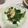 はっぴーゆりもん＊'s cooksnap of when they made 小松菜としめじのおひたしナムル.