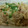 ☆☆☆めぐたん☆☆☆'s cooksnap of when they made 大根とベーコンと油揚げの炒めもの.