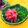 Satoco❋'s cooksnap of when they made まぐろのたたき 漬物と一緒に♪柚子胡椒で.