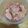 めぐみち's cooksnap of when they made 新ショウガの甘酢漬け.