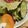 クックUL8OCM☆'s cooksnap of when they made 簡単ドレッシング！夏野菜たっぷりサラダ！.