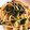 sara0802's cooksnap of when they made 小松菜としめじのパスタ（バターだし醤油）.