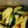 クックLB0KZO☆'s cooksnap of when they made ピリ辛きゅうりの一品.