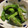 keromido's cooksnap of when they made 超シンプル！ししとうの炒め物.