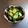 チコリママ's cooksnap of when they made 超簡単！昆布茶と塩で作るきゅうりの浅漬け.