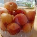 anzujyamu's cooksnap of when they made 基本の果実酒（プラム）.