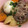 じょみど's cooksnap of when they made 白だしで作るおでん＊圧力鍋使用.