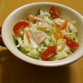 もんしゅしゅ's cooksnap of when they made アロエヨーグルトのコールスローサラダ.