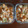 Ｍぱん's cooksnap of when they made ■糖質制限■厚揚げに簡単エビマヨ的ソース.