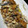 クック7FNN0F☆'s cooksnap of when they made 鰯のアヒージョ.