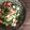 カズ形33's cooksnap of when they made オクラとトマトのフレッシュバジル和え.