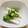 めなよ's cooksnap of when they made 長芋とオクラのわさび醤油和え.