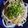 Coちむ's cooksnap of when they made 絶対美味しい！鰹のたたき.