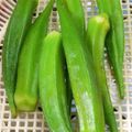 QPはにー's cooksnap of when they made おくらのゆで方.