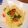 ららこーら's cooksnap of when they made 南イタリア風ズッキーニのレモン風味パスタ.