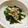 めなよ's cooksnap of when they made 【農家のレシピ】ねぎとしらすのサラダ.