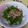 ハンクスさん's cooksnap of when they made おくらのおひたし.