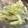 かつえもん☆'s cooksnap of when they made はちみつ漬けセロリ.