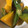 anemonenan's cooksnap of when they made 美味しい！オクラとかぼちゃのくたくた煮.