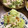 ことむん's cooksnap of when they made たたききゅうりと蒸し鶏のねぎソースがけ.
