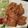 とろけい's cooksnap of when they made 子供も大好き♪優しい味のタンドリーチキン.