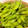 teatoi's cooksnap of when they made 枝豆の蒸し焼き☆おいしい茹で方より簡単.