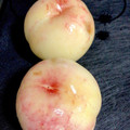 ひよこのおにぎり's cooksnap of when they made 桃の皮むき.