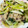 yukipanmen's cooksnap of when they made 旨辛＊小松菜と牛肉の炒め物.