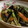 yappyパクパク's cooksnap of when they made 夏野菜の揚げ浸し.