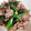 さぁひこうき♪'s cooksnap of when they made 簡単！豚肉とオクラの甘辛炒め.