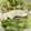 クックM6DK2O☆'s cooksnap of when they made 野菜がおいしい☆タラと野菜のレンジ蒸し♪.