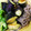サクタ４'s cooksnap of when they made ナスの揚げ浸しひんやりざる蕎麦.