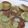 ルルガール's cooksnap of when they made ヨモギいもだんご.