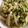 サトコン105☆'s cooksnap of when they made 大根と豆苗の卵とじ.