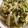 サトコン105☆'s cooksnap of when they made 大根と豆苗の卵とじ.