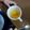 MMまどか's cooksnap of when they made 丸ごと黄桃ゼリー♪.