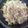 フランクフルトJr's cooksnap of when they made 白菜の豚しゃぶ丼.